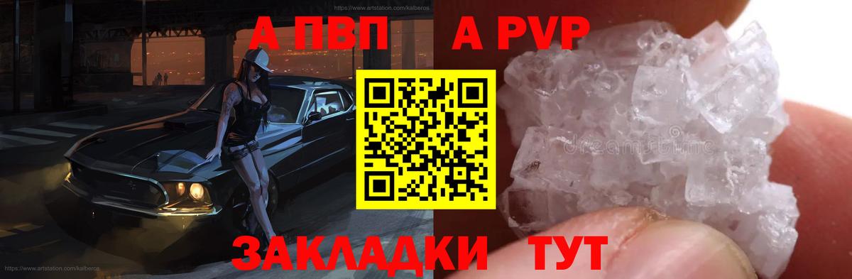 Альфа ПВП СК КРИС Кострома