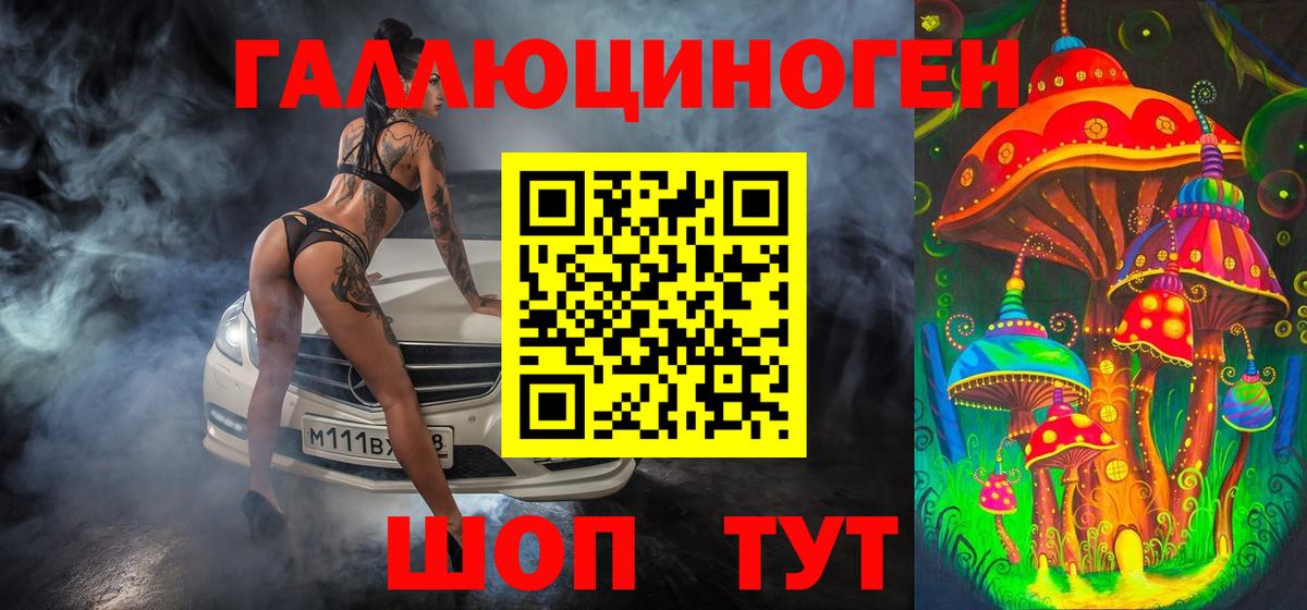 Псилоцибиновые грибы Psilocybine cubensis Кострома
