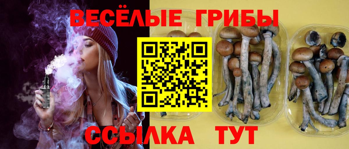 Кострома  Галлюциногенные грибы мухоморы  Галлюциногенные грибы Psilocybe  Вход с VPN 